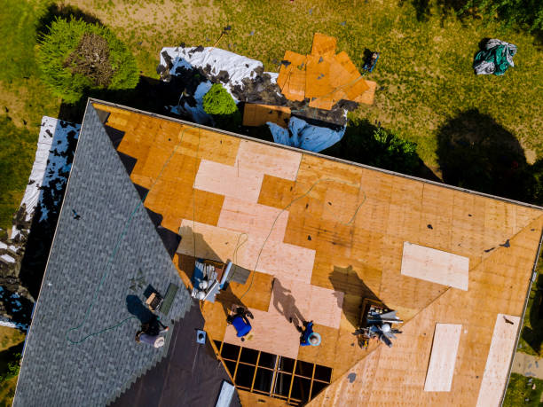 Best Roof Leak Repair  in Butte, AK