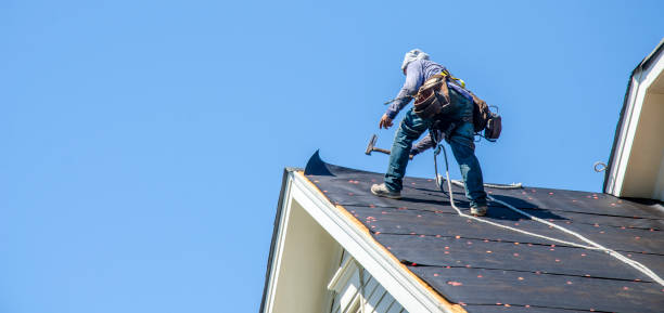 Best Roof Waterproofing Services  in Butte, AK